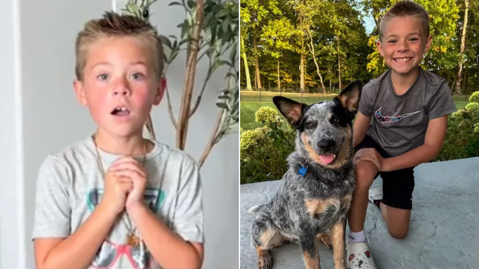 Mom Pulls Off An Unforgettable Surprise For Her Son After They Find A Stray Puppy In Their Neighborhood