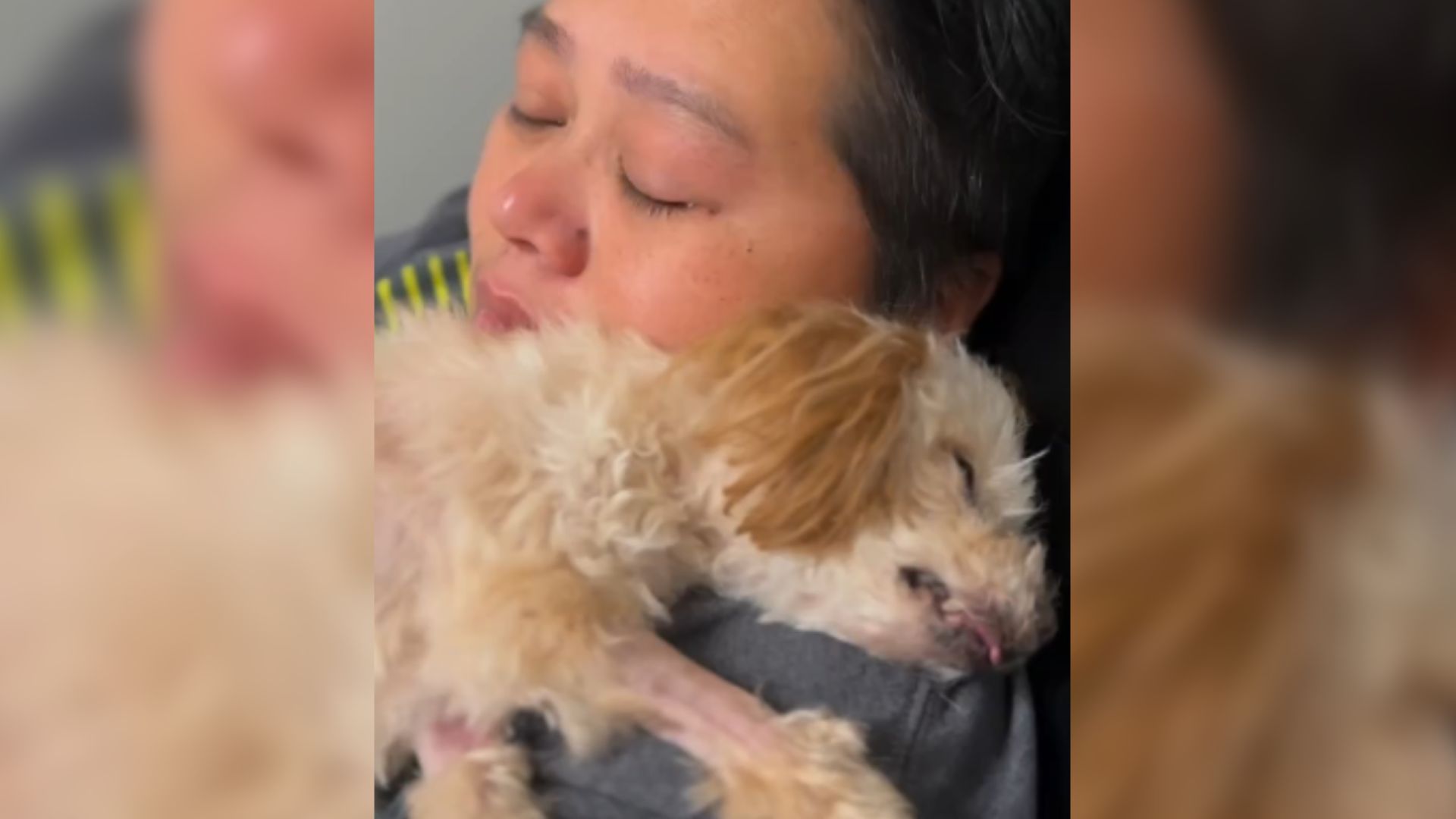 woman hugging a dog