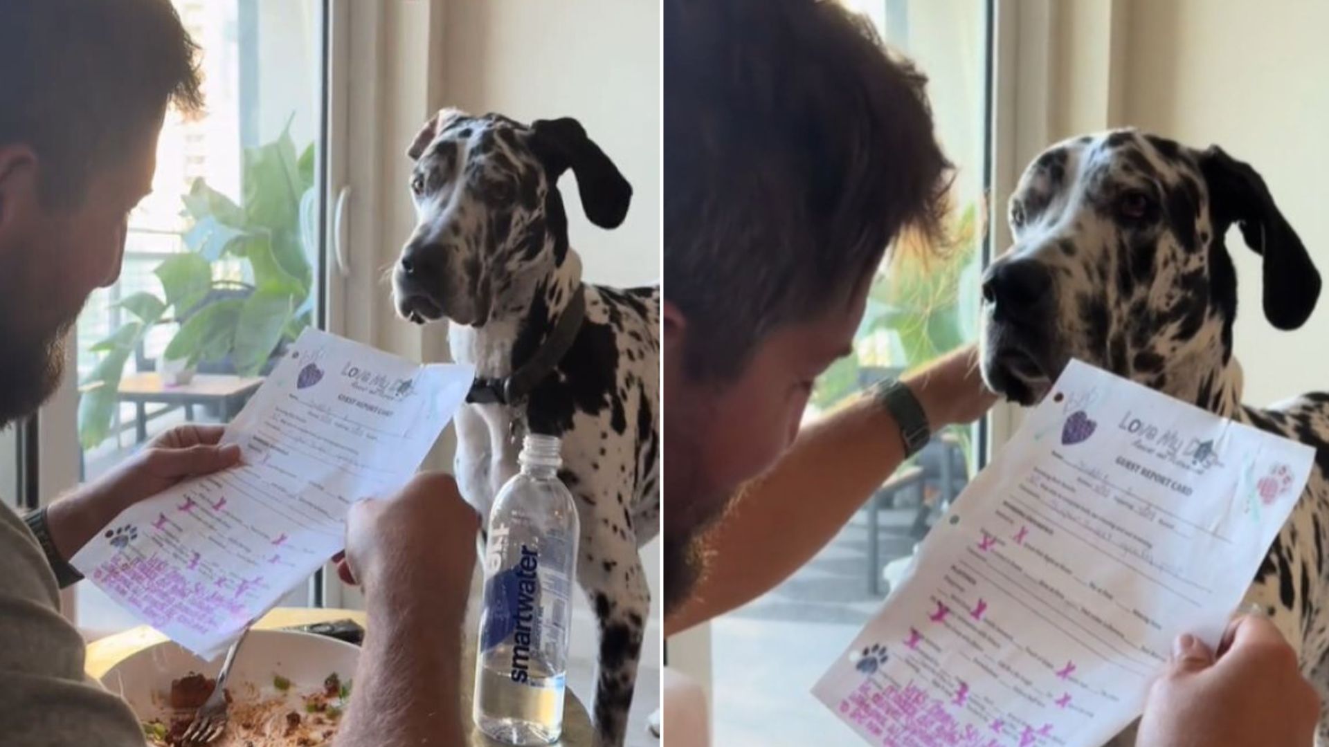 man reading to dog