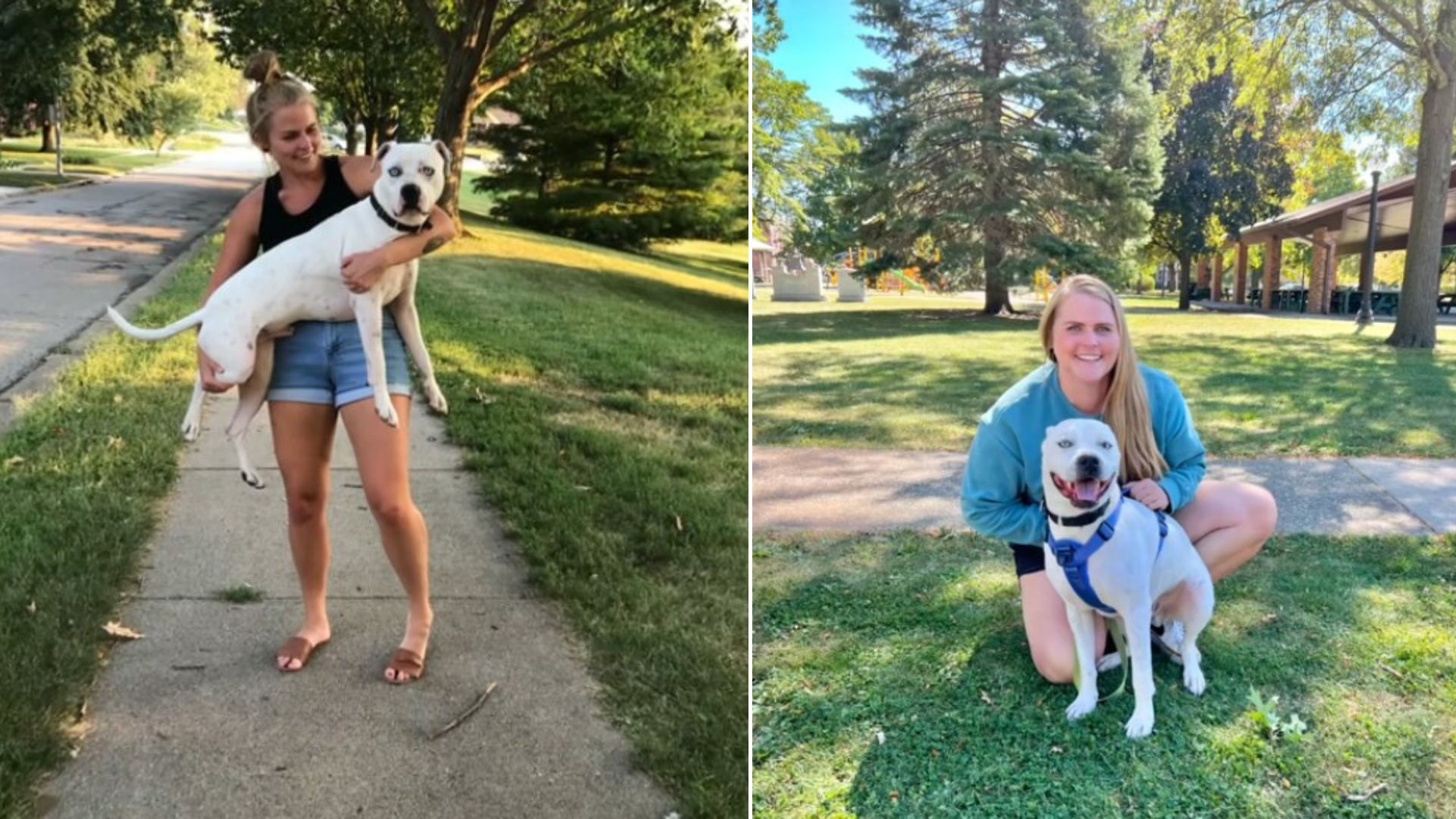 woman and shelter dog