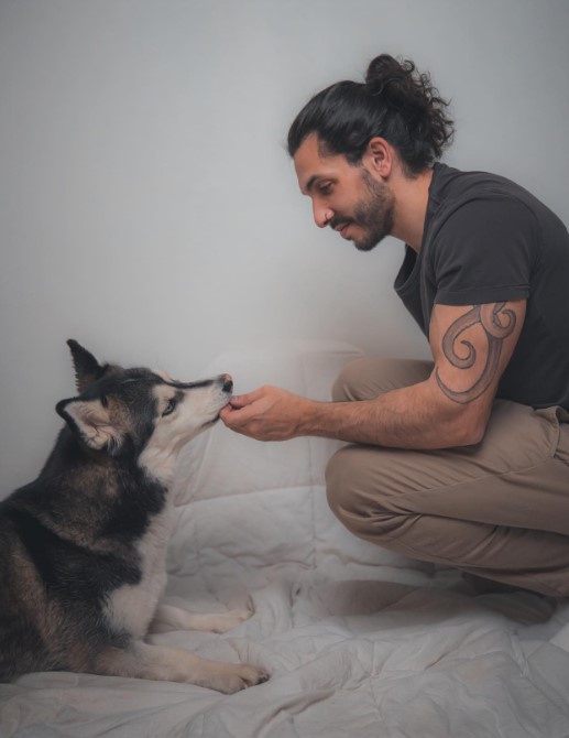 a man feeds a husky on a bed