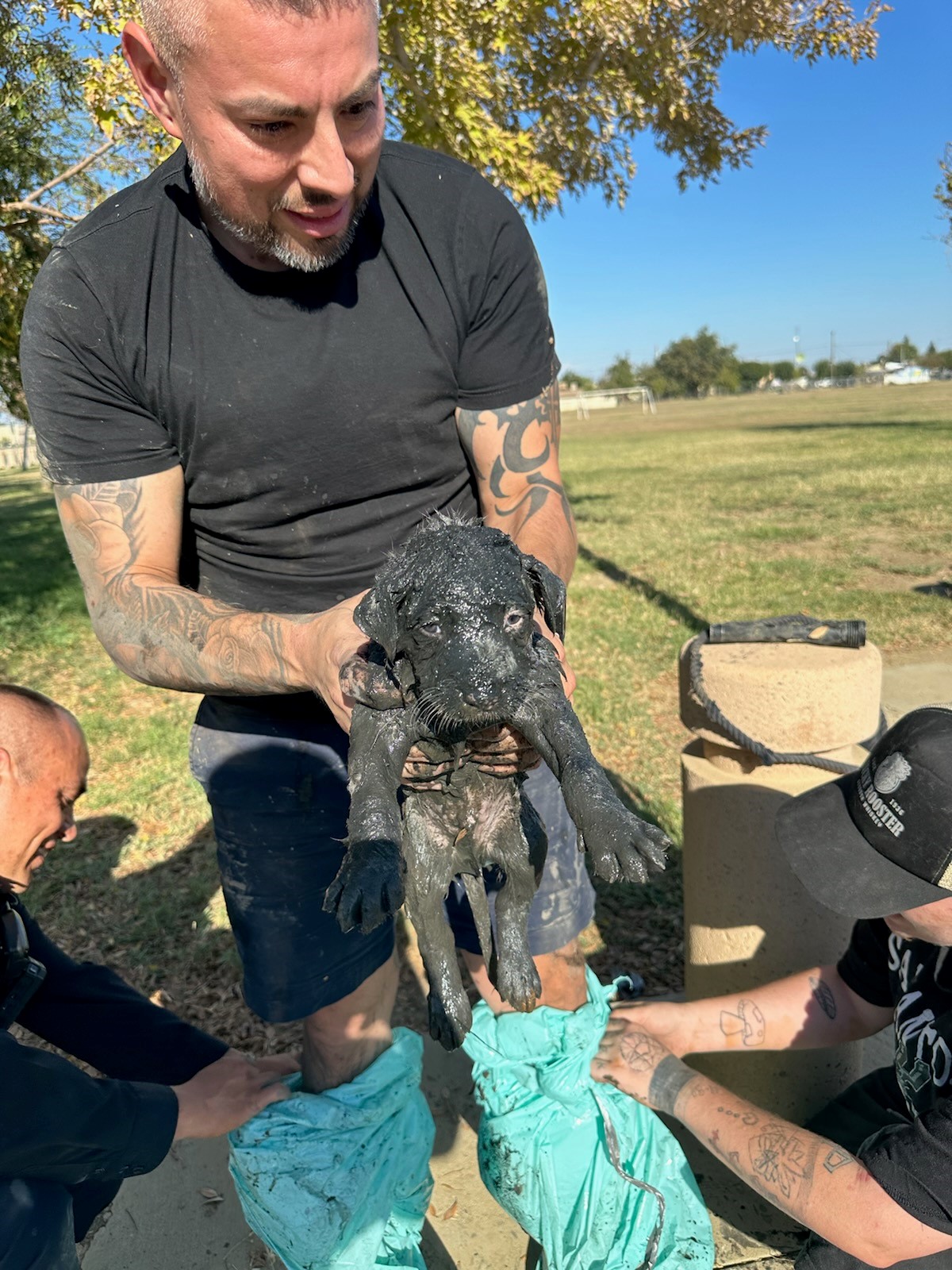 a man holds a puppy in his arms full of mud