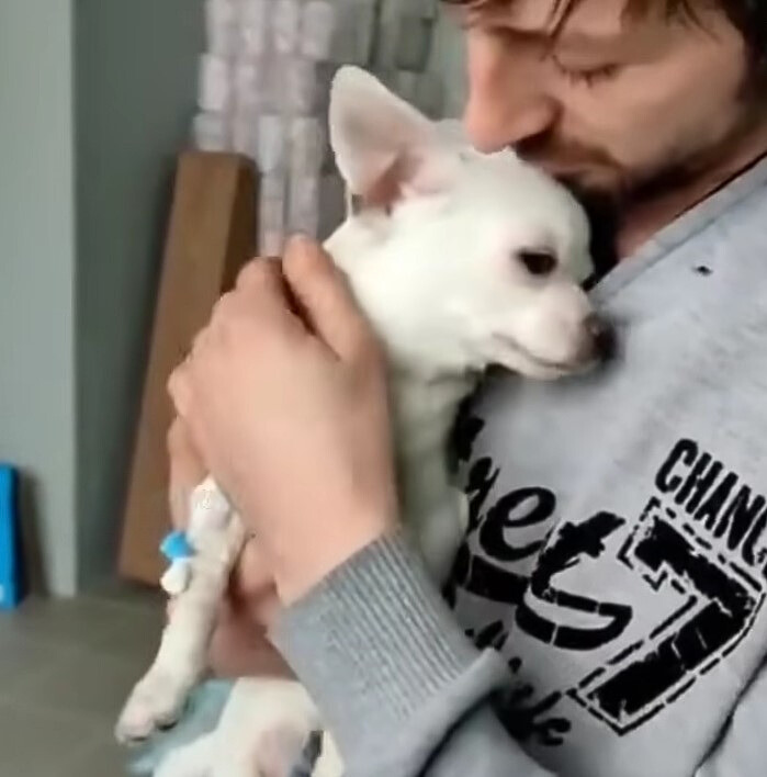 a man holds a white dog in his arms