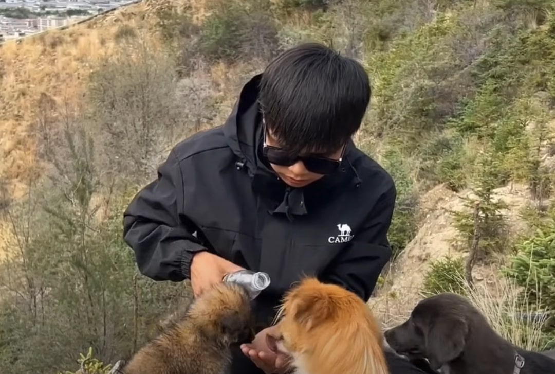 a man on a mountain gives water to dogs from his hand