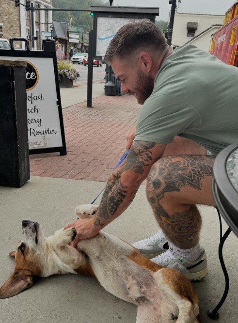 a man strokes a dog's stomach