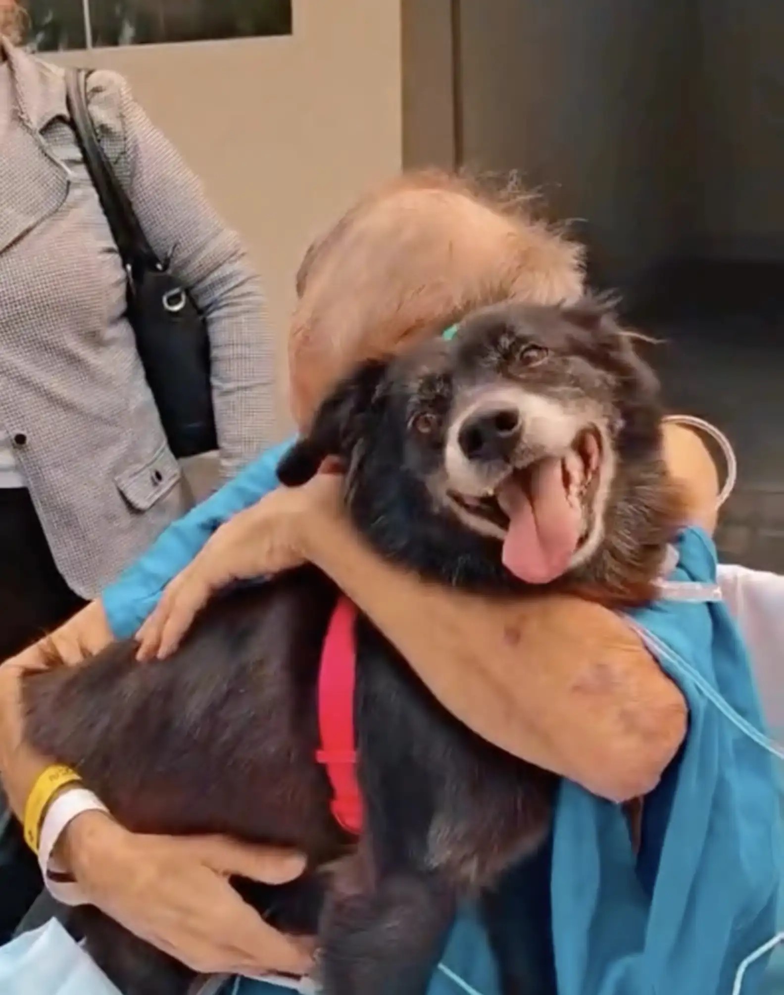 a sick man hugs his dog in the hospital