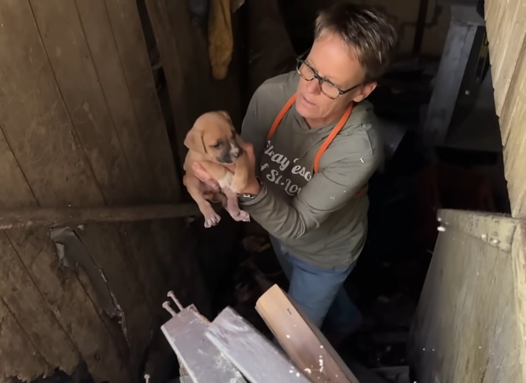 a woman carries a puppy from an abandoned house