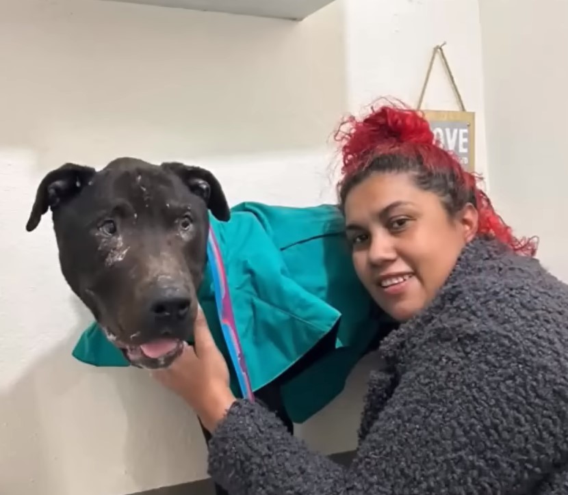 a woman takes a picture with a black dog