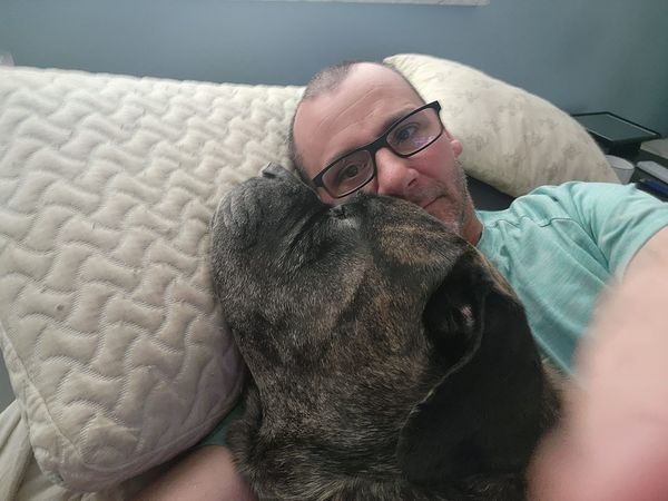 dog and owner in bed