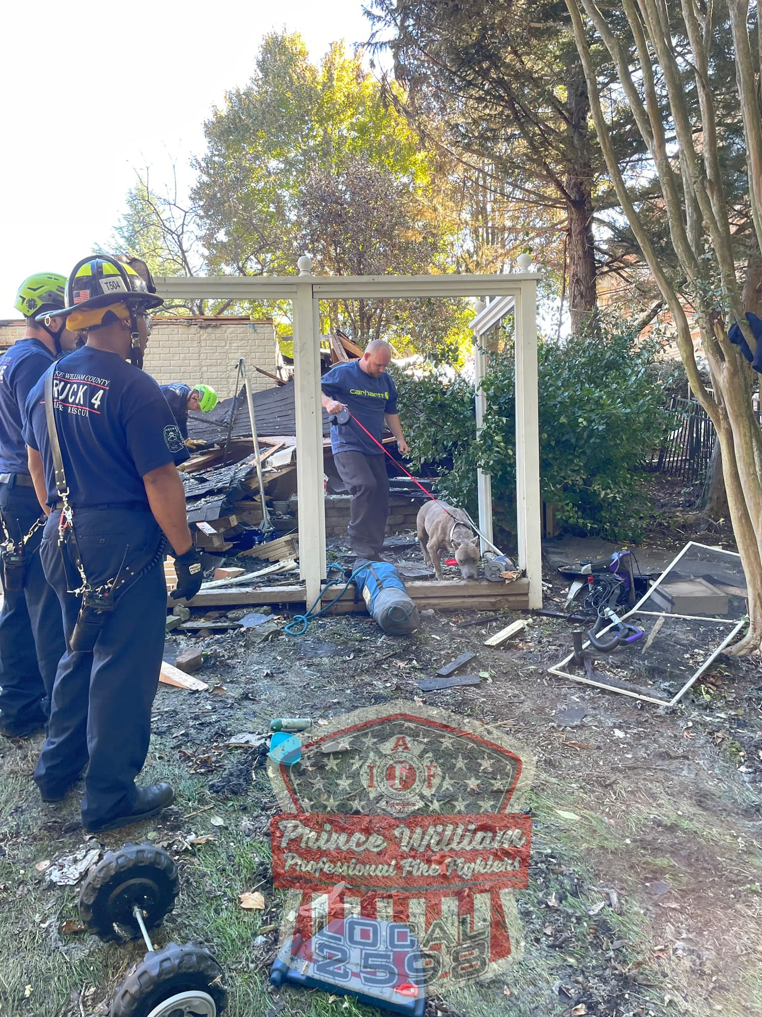 dog rescued from rubble