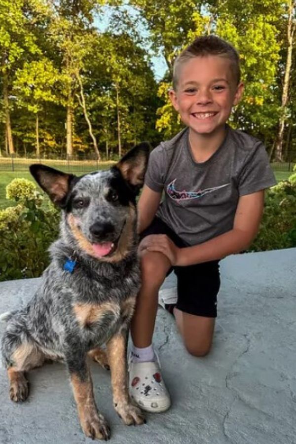 happy kid and dog