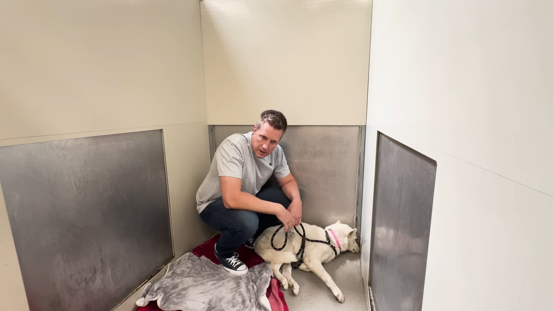 man and a scared husky