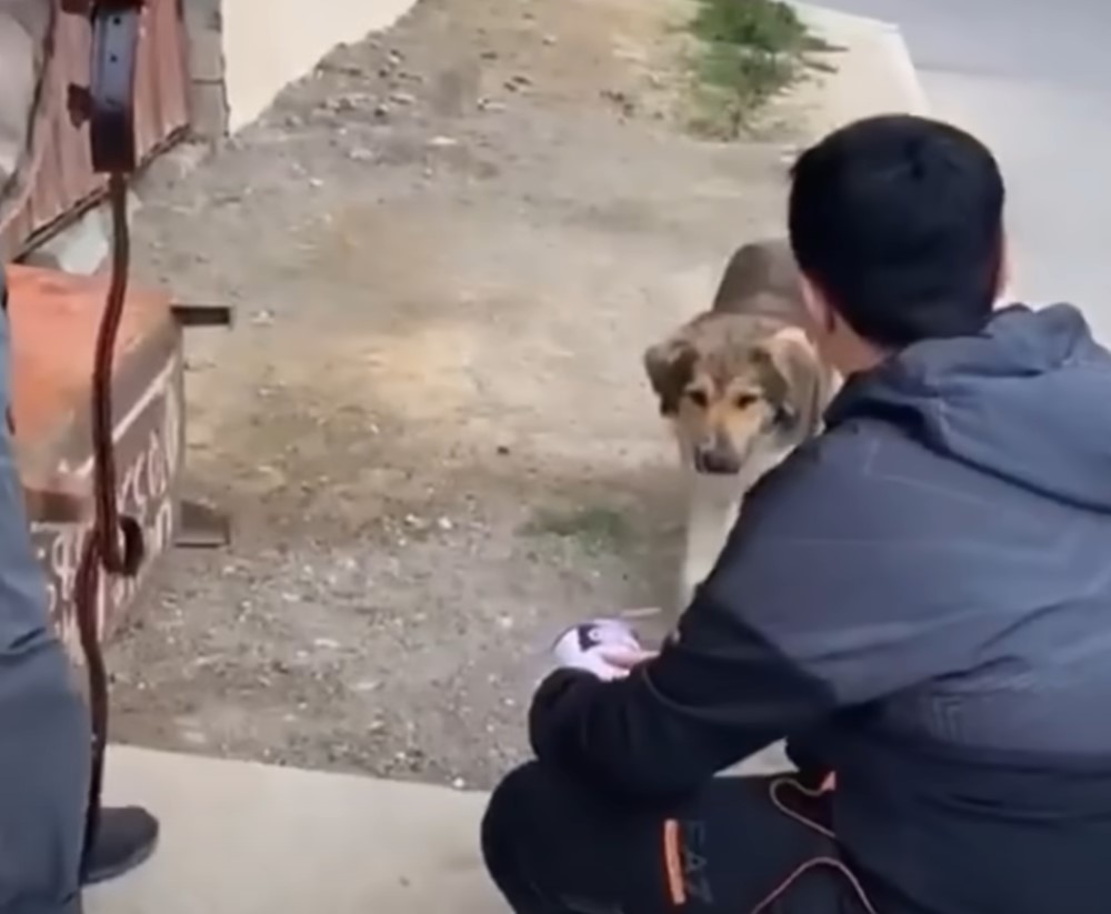 man and cute dog