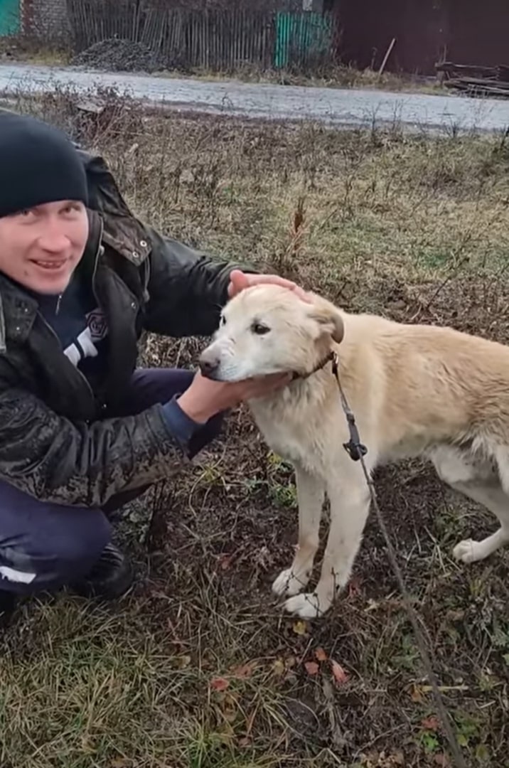 man and saved dog