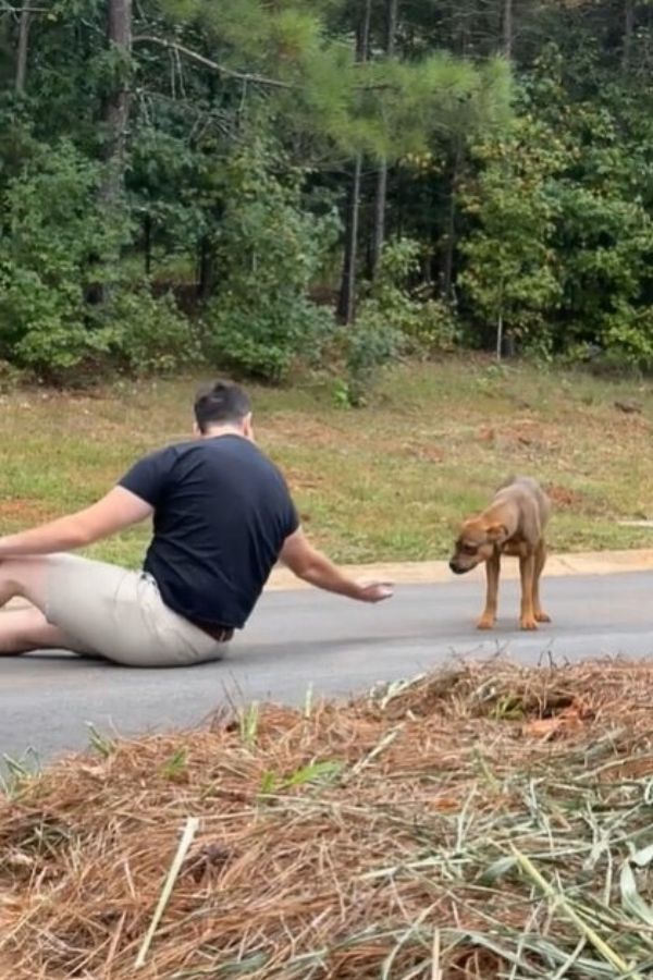 man and stray dog