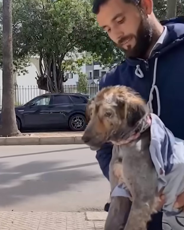 man holding a neglected dog