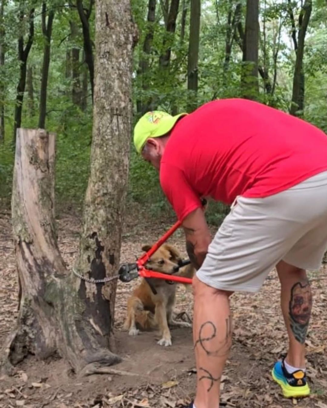 man saving a dog