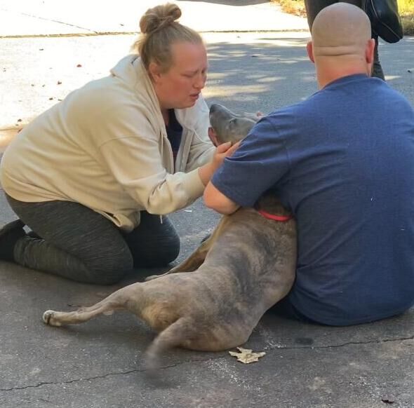 man woman and rescued dog