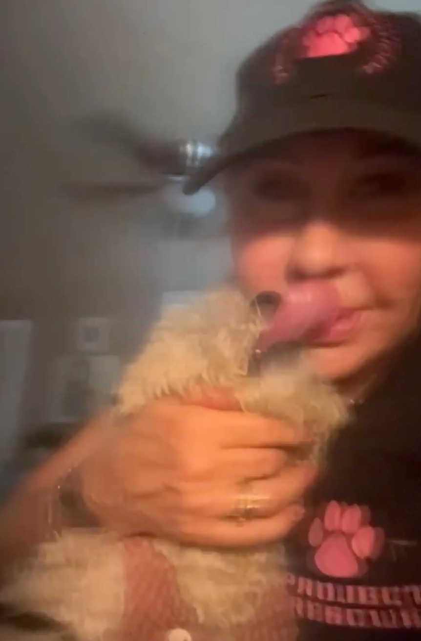 pup licking woman's face