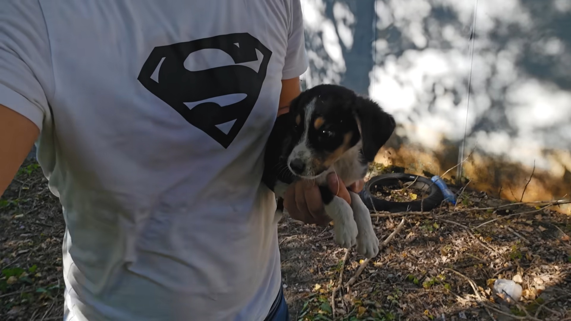 puppy being held