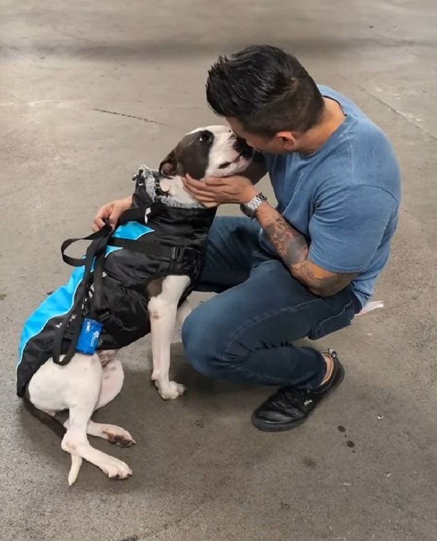 the dog cuddles with the owner