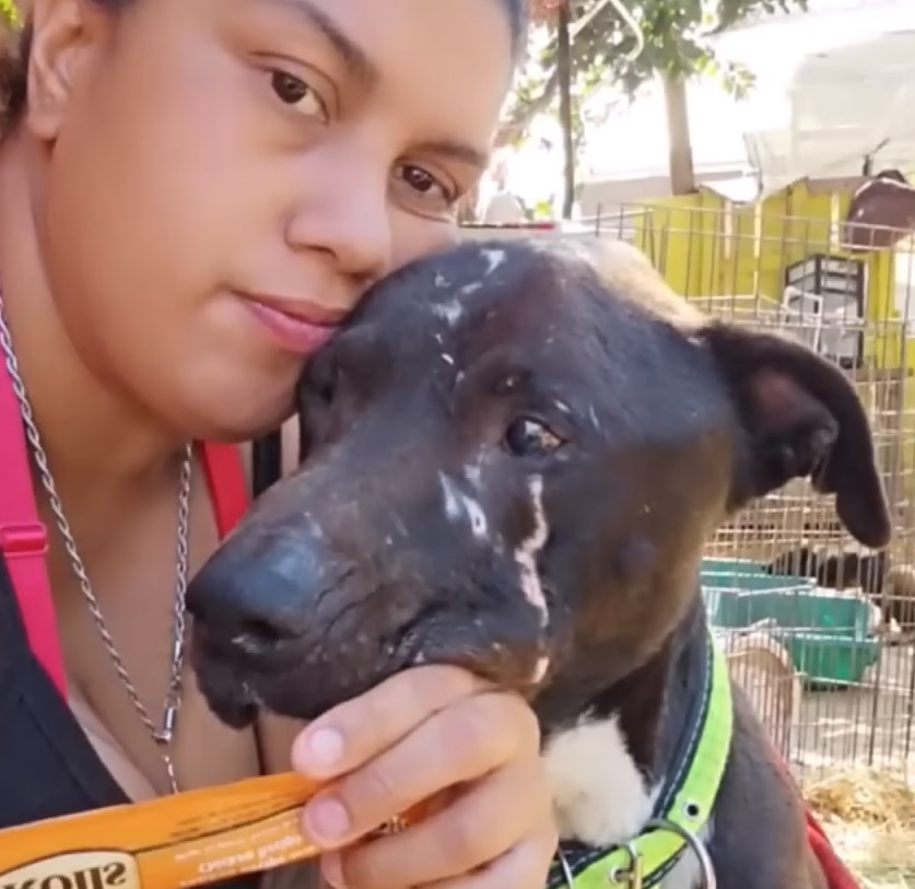 the dog stands next to the woman while they are taking pictures