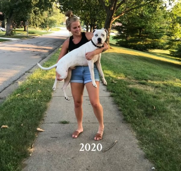 woman holding a dog