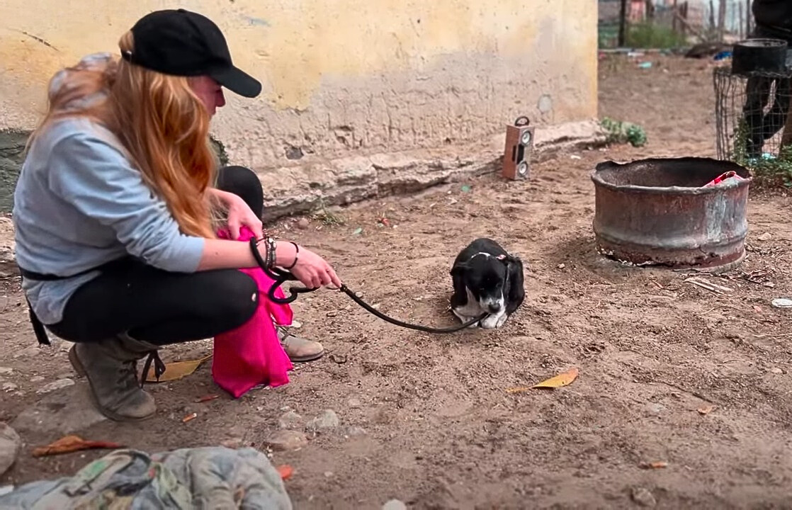 woman and a dog on a leash