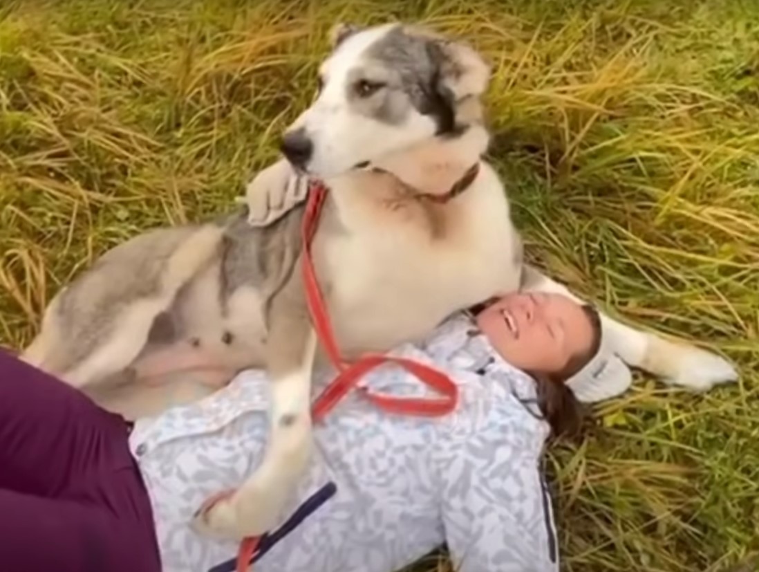 woman and dog laying together