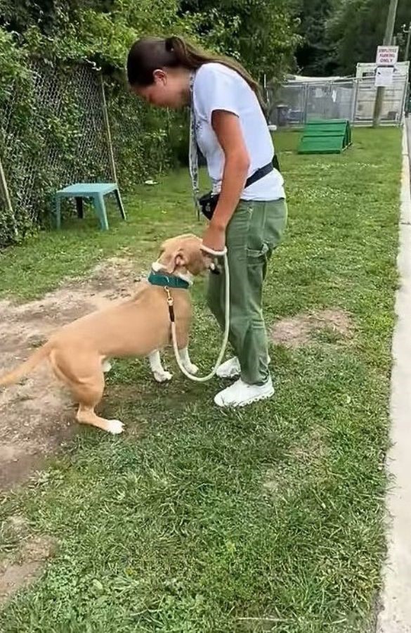 woman and dog on a leash