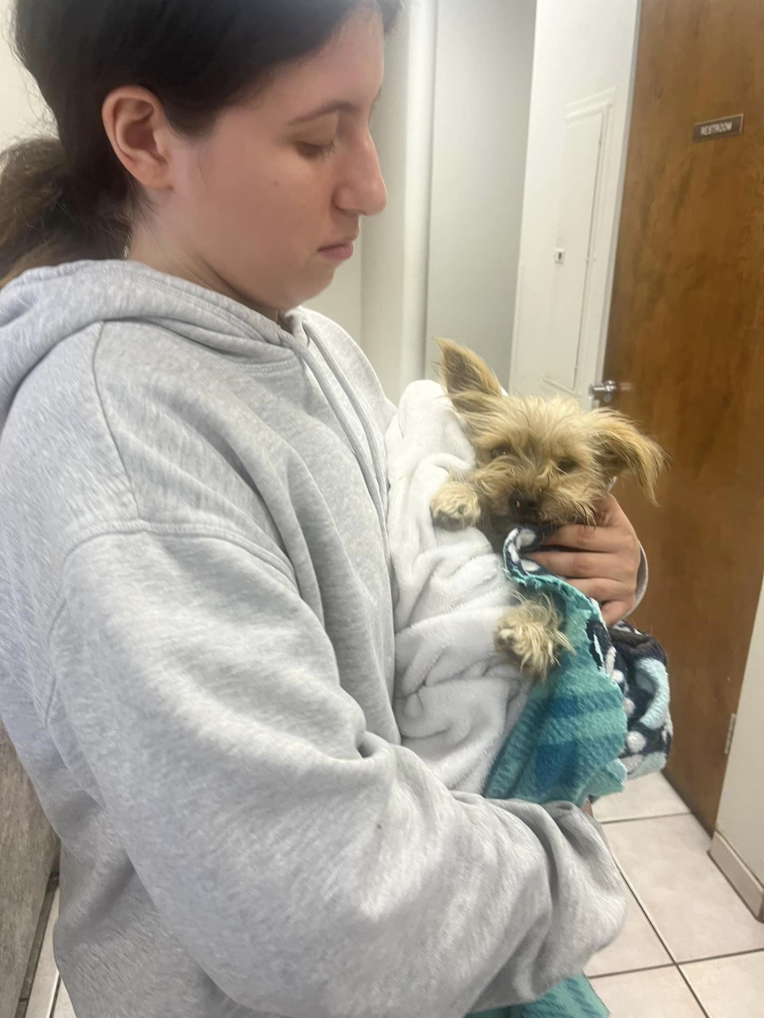 woman holding an injured dog