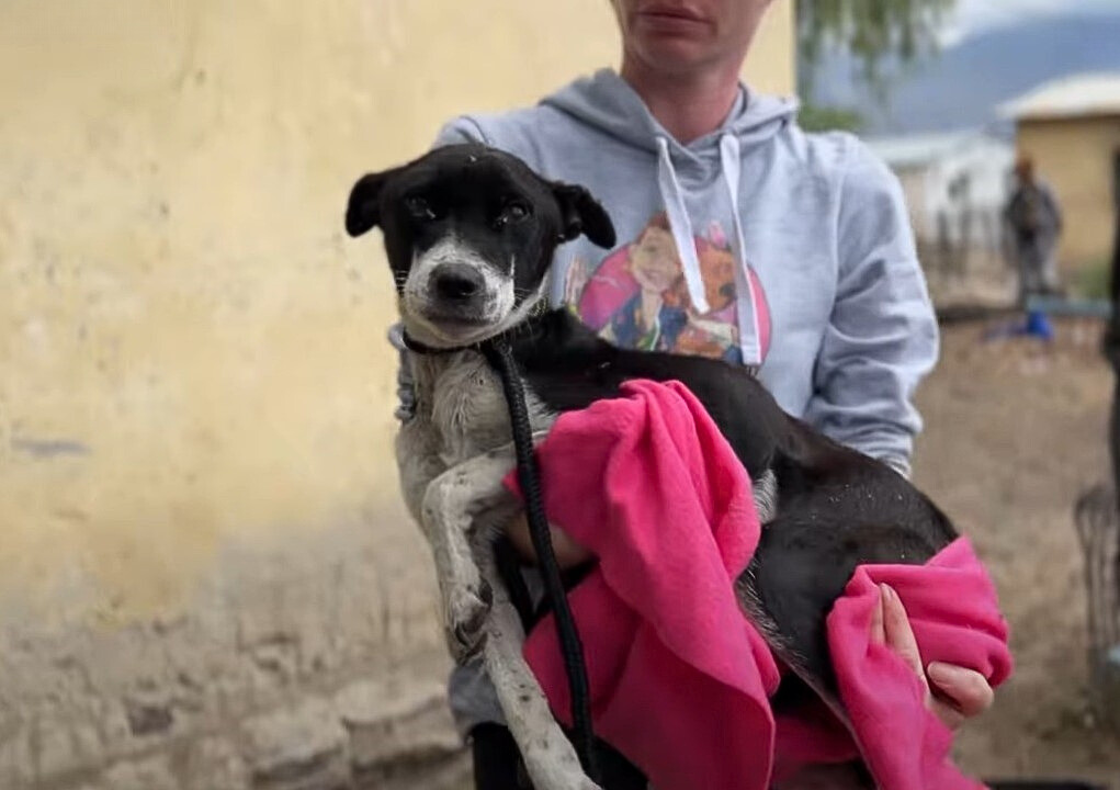 woman holding the pup