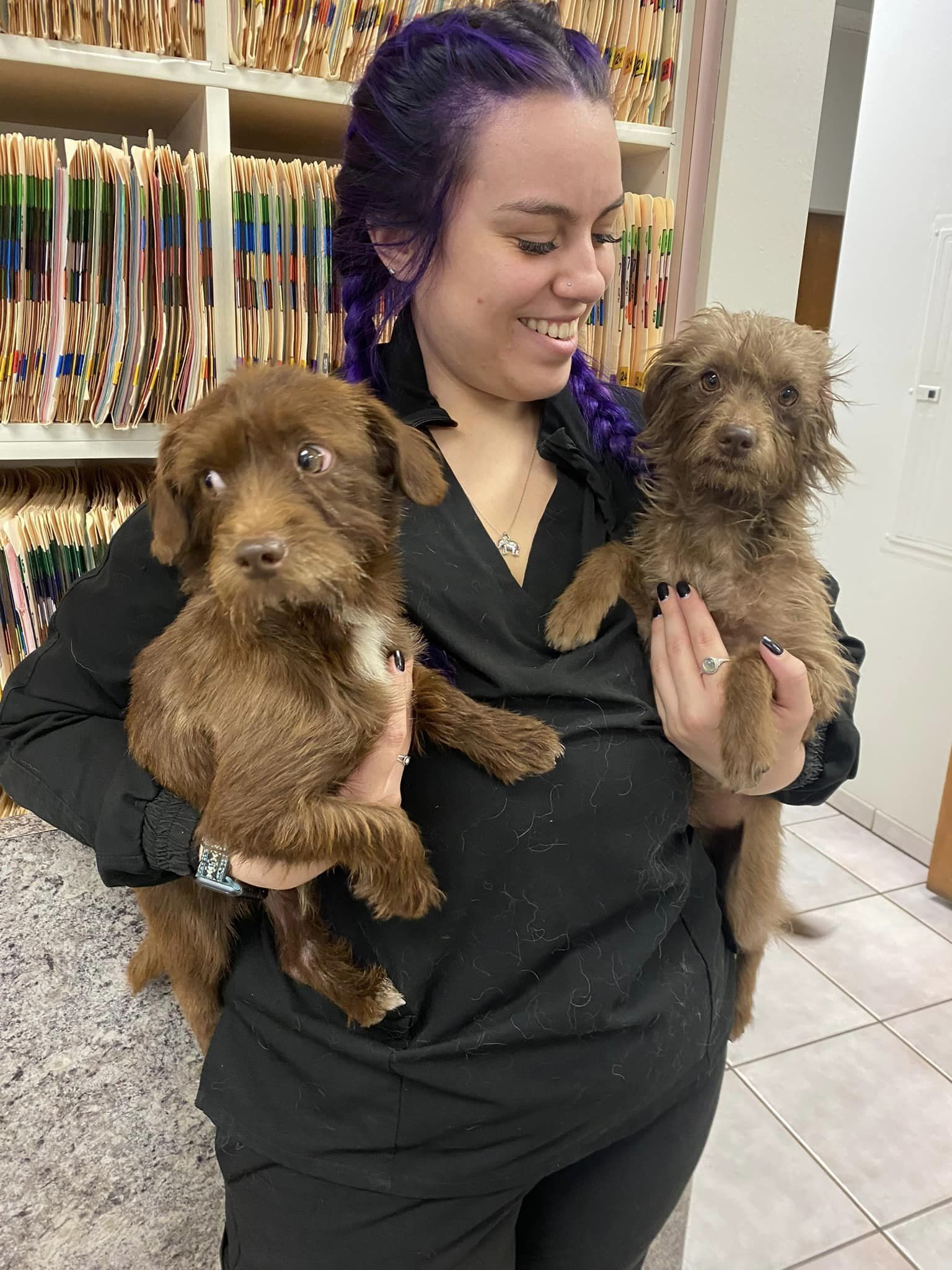 woman holding two puppies