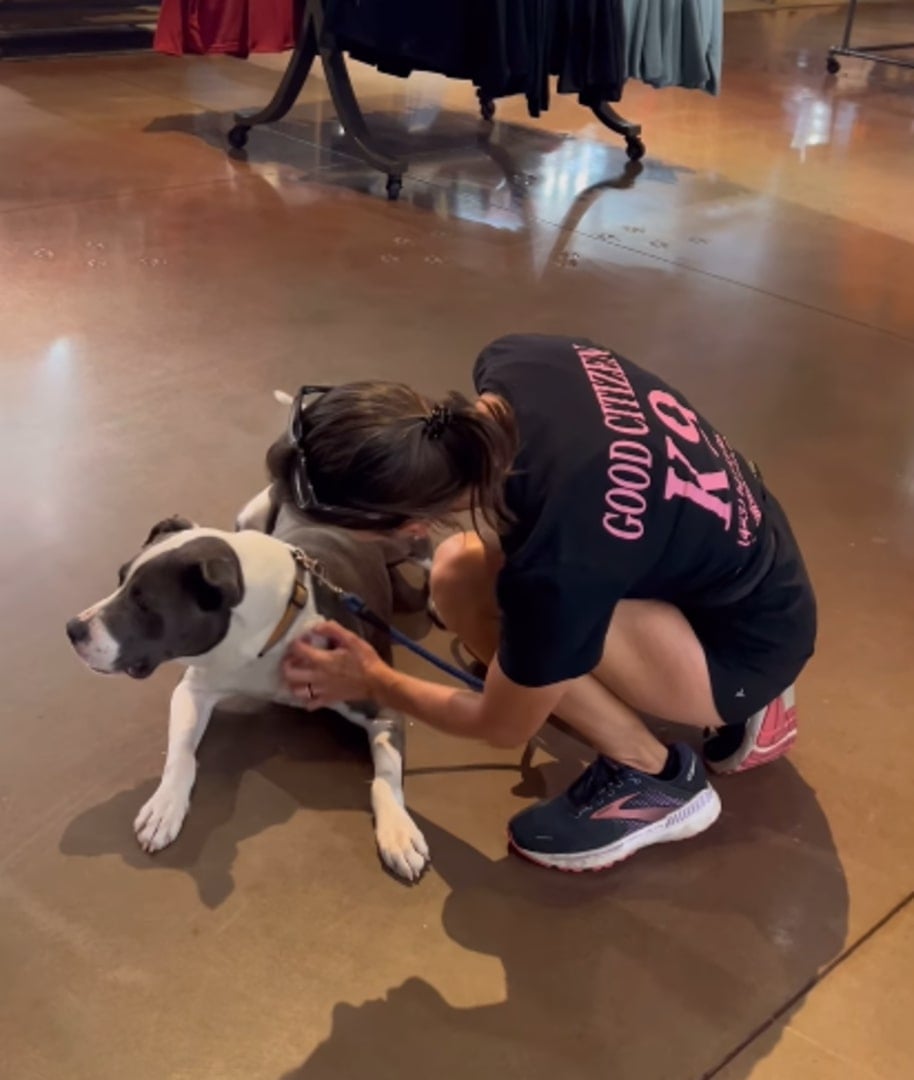 woman petting the pitbull