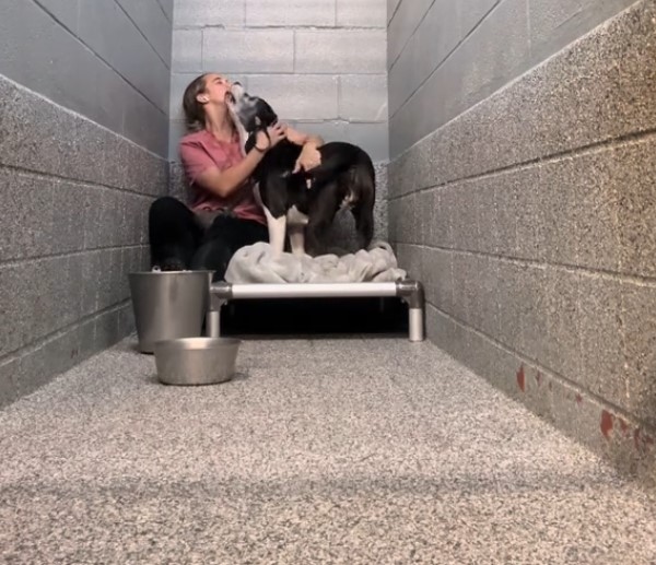 A dog cuddles with a girl at a shelter