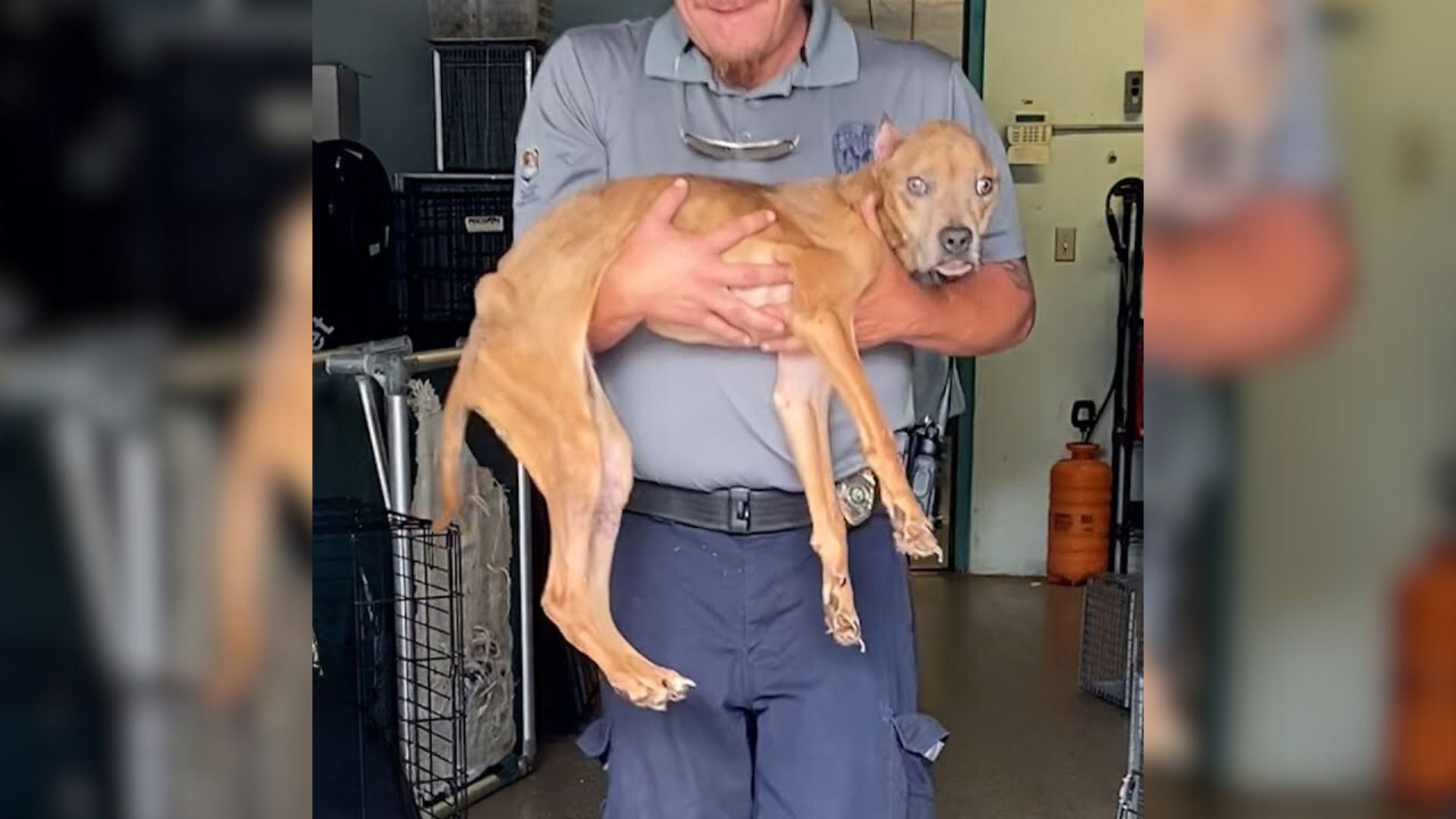 man carrying a dog