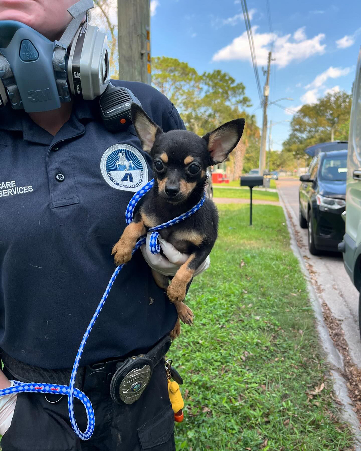 Officer holding a dog