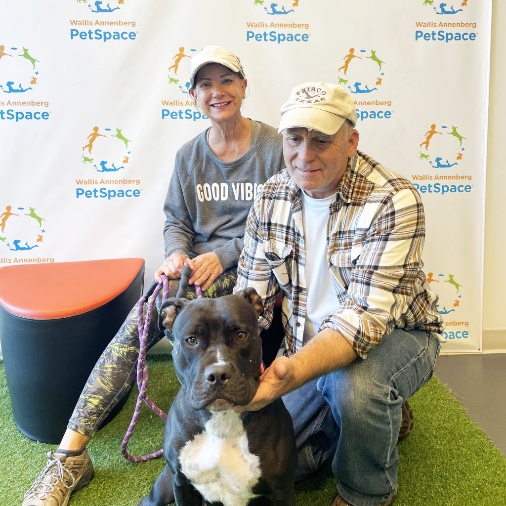 Old couple and black dog