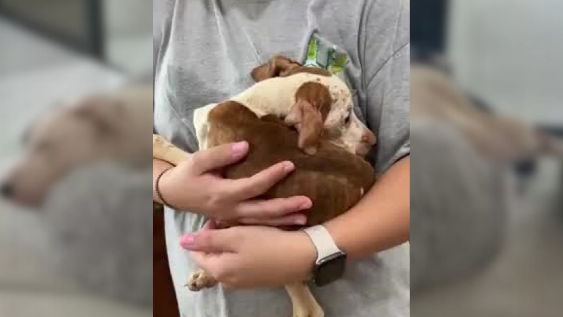 female holding a puppy