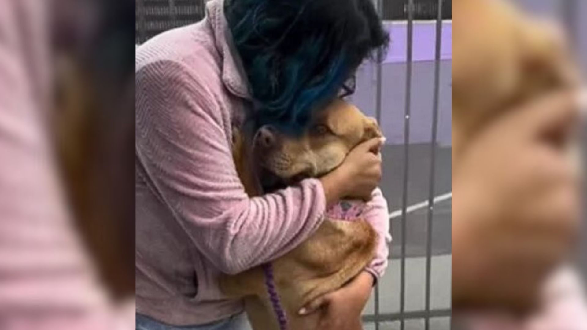 shelter employee hugs dog