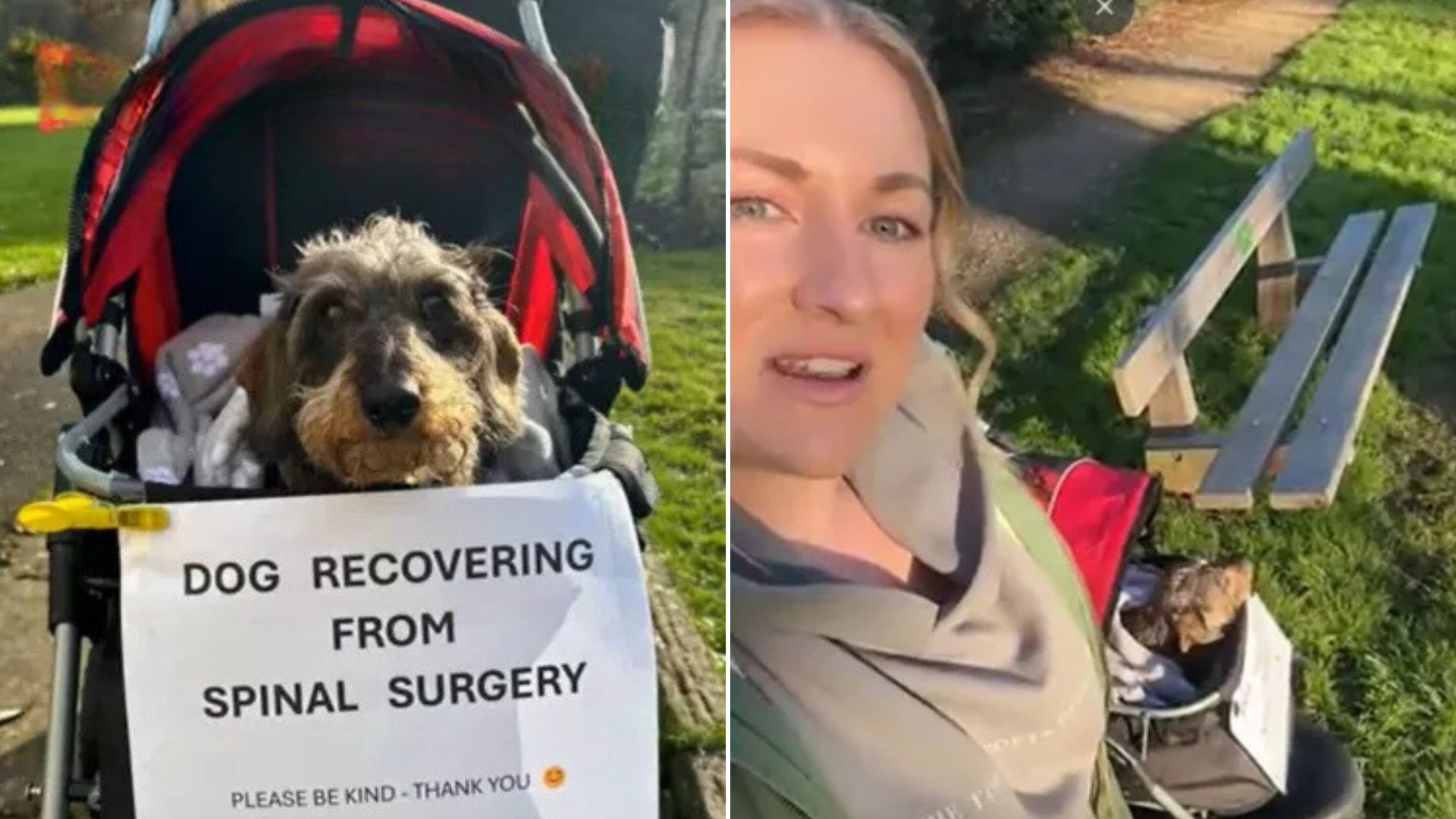 Woman Adds Sign To Her Dog's