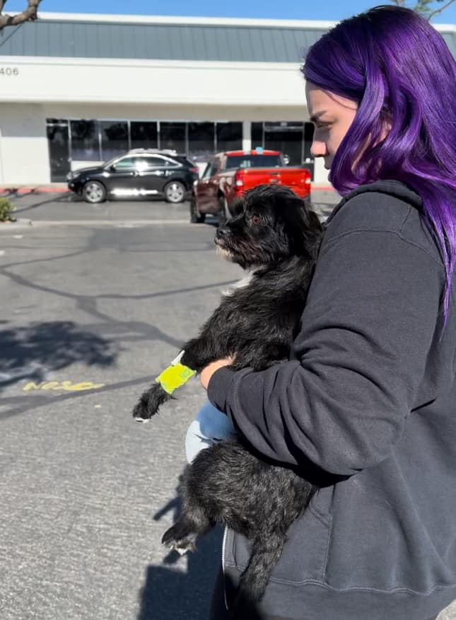 a girl is standing on the street and holding a dog in her arms