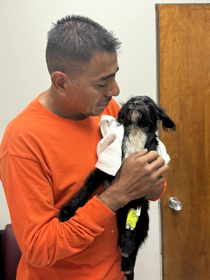 a man holds a dog in his arms