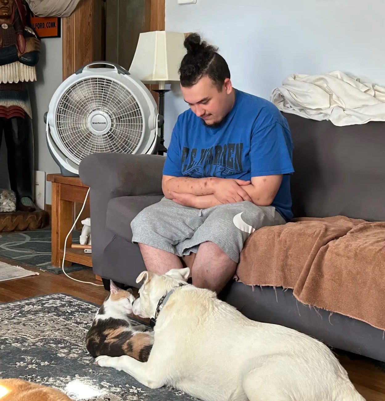 a man watches a cat and a dog playing