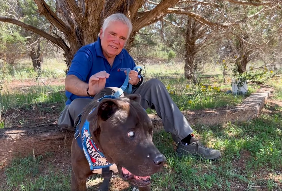 a man with blind dog sitting outdoor