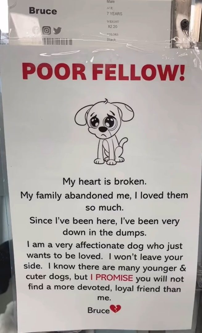 a sign for abandoned dog