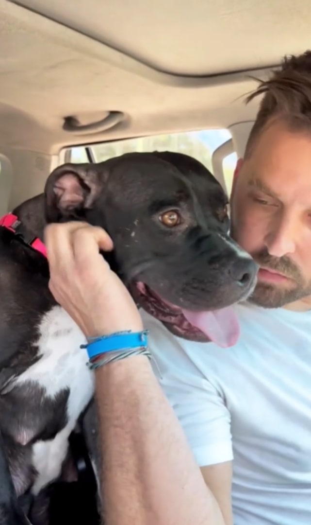 black dog and owner in car