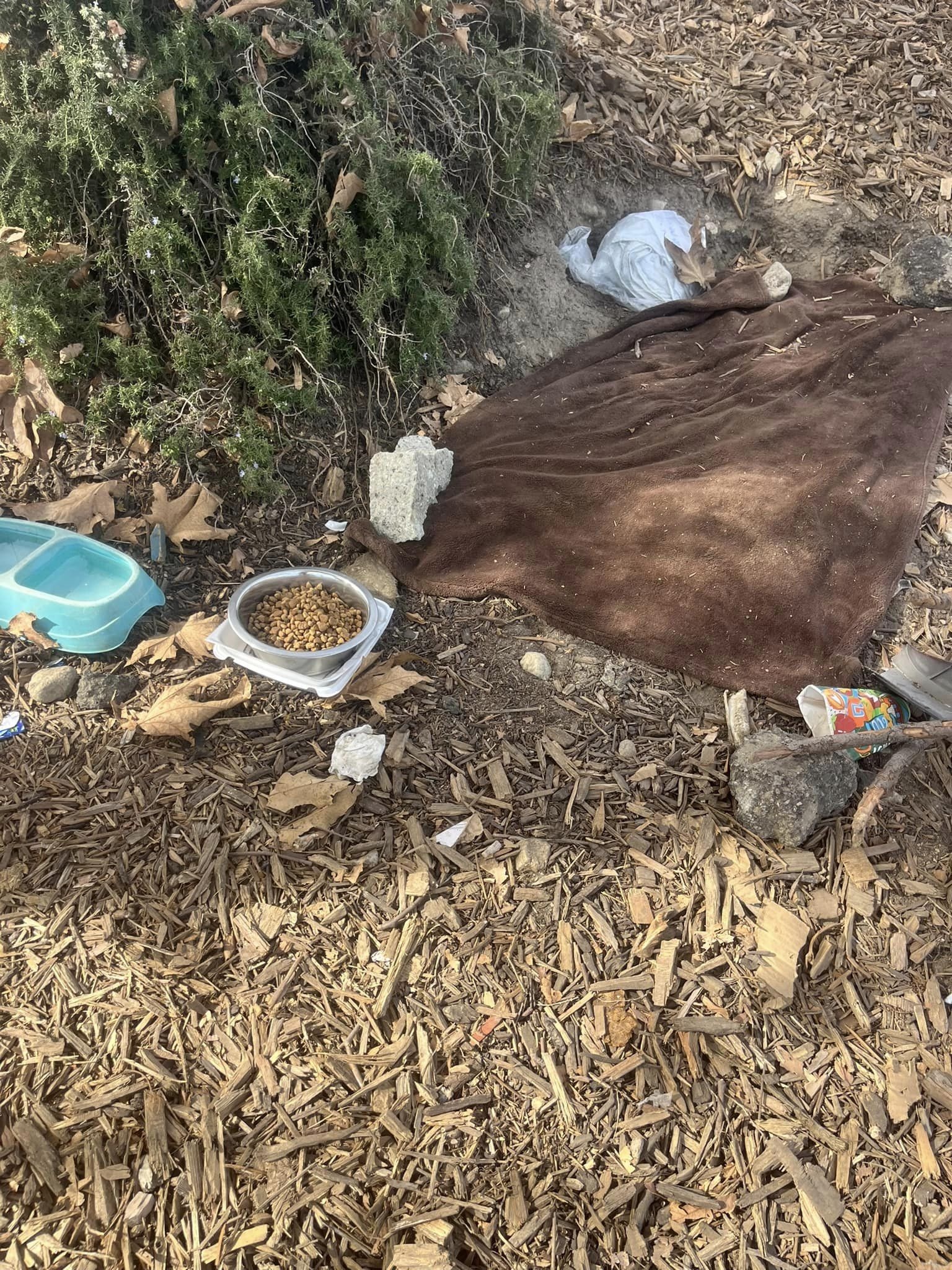 blanket and food bowl for dog on the on the outdoor spot