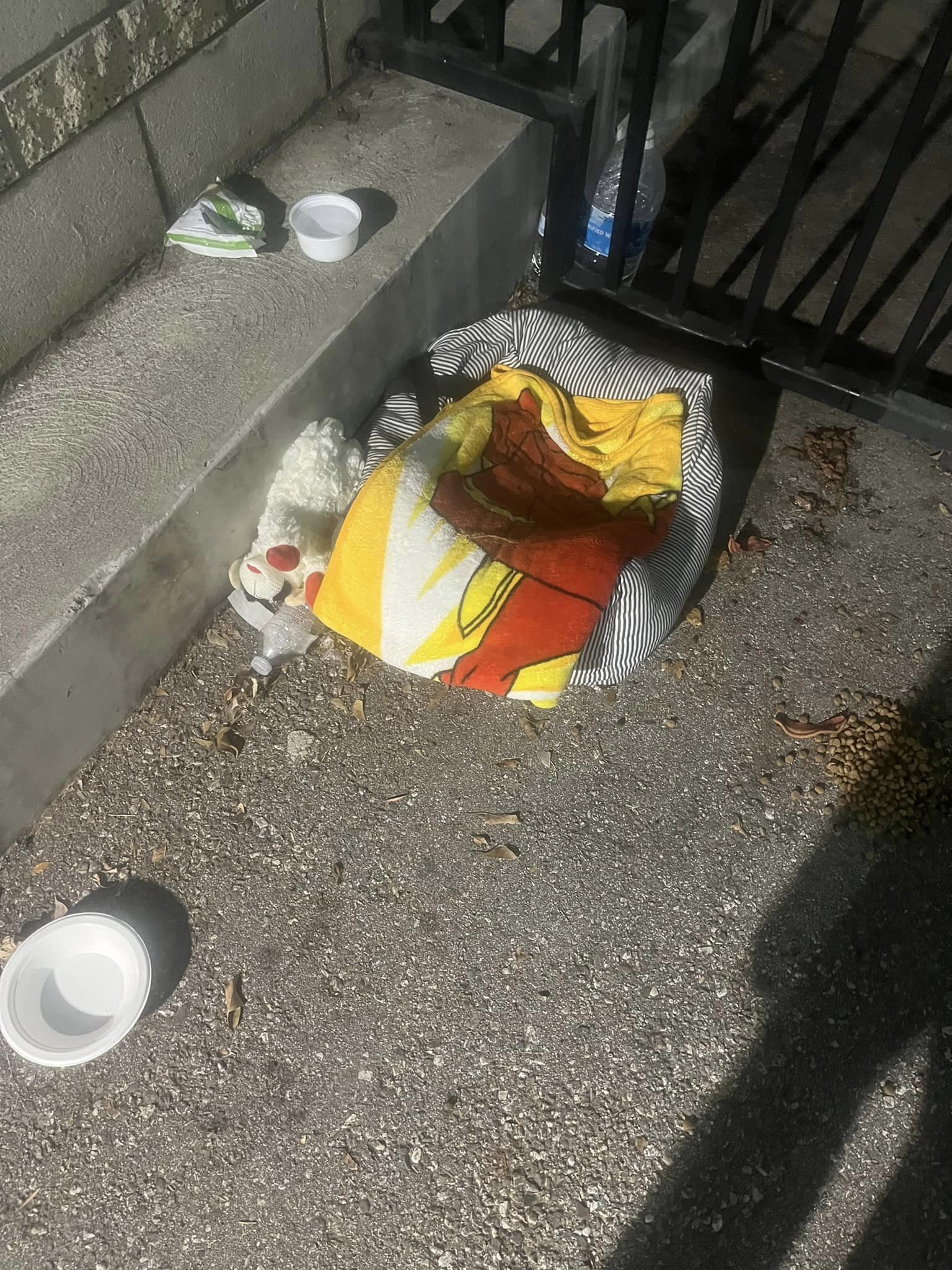 blanket dish for food and water on the street for the dog