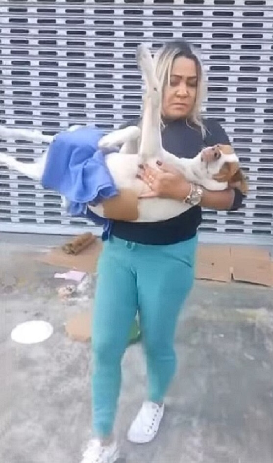 blonde woman and injured dog